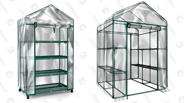 Green House Mini Greenhouse-4-Tier | $32 | Amazon Home-Complete Walk-in Greenhouse- Indoor Outdoor with 8 Sturdy Shelves | $60 | Amazon